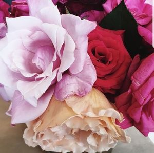 Meet your Posher, Mary